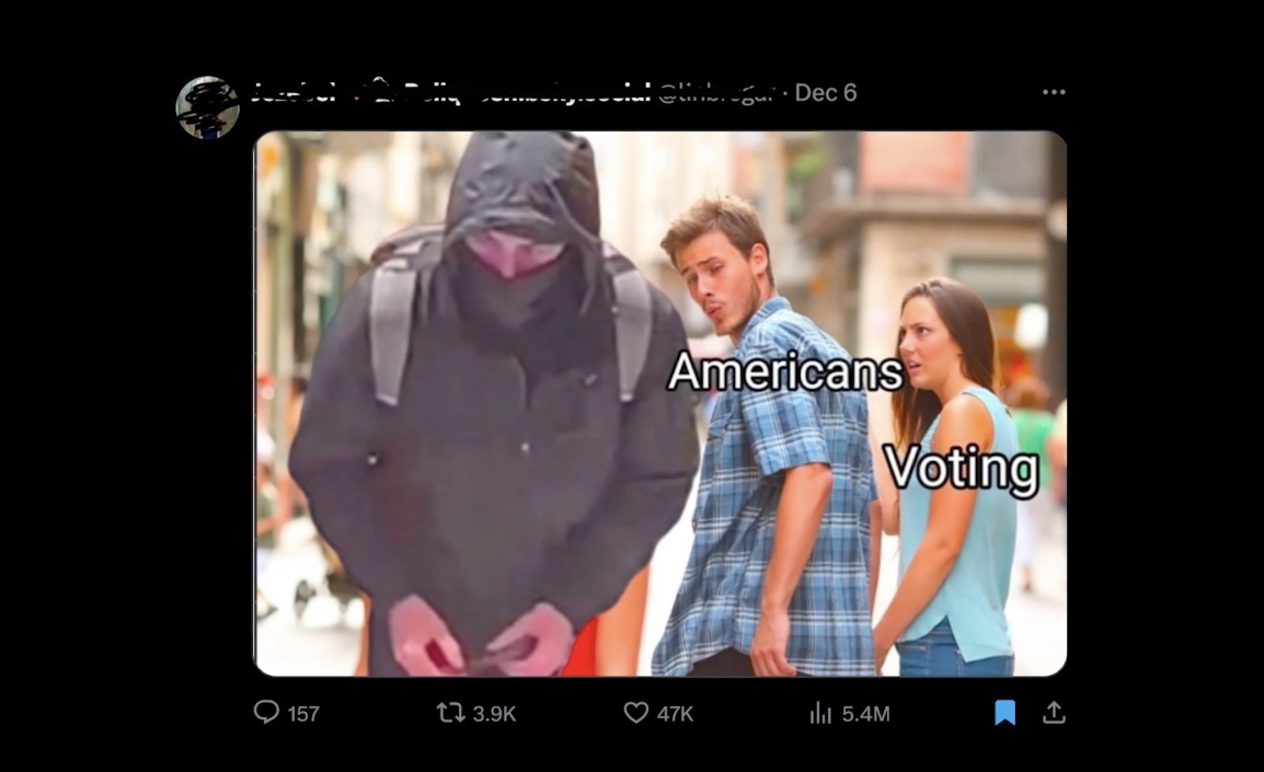 https://stanyakahn.com/files/gimgs/th-56_votingBFmeme.jpg